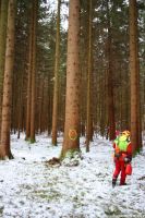 Lindenburschen Neubiberg - Maibaum fällen 30.12.2017 - IMG_3319